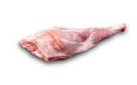 AGNELLO COSCIA FRESCA S/V