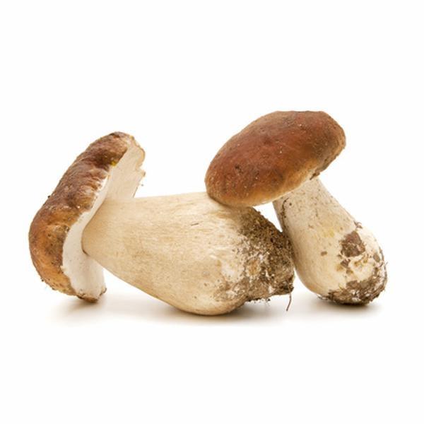 PORCINI INTERI FRESCHI X2/3KG