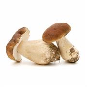 PORCINI INTERI FRESCHI X2/3KG