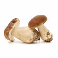 PORCINI INTERI FRESCHI X2/3KG