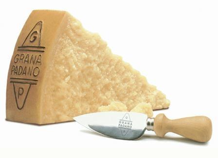 GRANA PADANO PORZ. DA 300GR