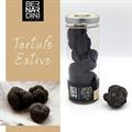 TARTUFO ESTIVO FRESCO