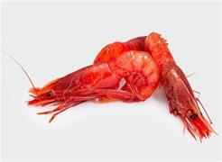 GAMBERO ROSSO MORUNO M (41/60) 12PZ X800GR FRIP