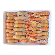 SCAMPI IRLANDA BORDO LABADIE 21/30 3CF X3KG