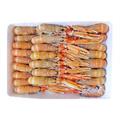 SCAMPI IRLANDA BORDO LABADIE 21/30 3CF X3KG