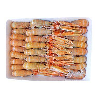 SCAMPI IRLANDA GLENMAR LABADIE 41/50 3CF X3KG