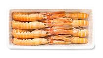 SCAMPI IRLANDA DUNDALK POLY 5/10 4PZ X1,5KG
