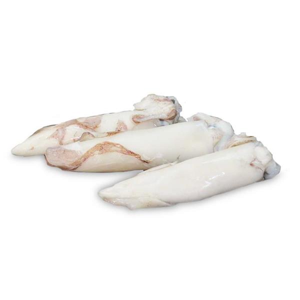 CALAMARI PULITI MAROCCO IWP 3P (11/16CM)