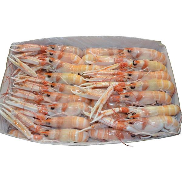 SCAMPI OROMAR POLY 8/10 4CF X1,25KG