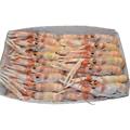 SCAMPI OROMAR POLY 8/10 4CF X1,25KG