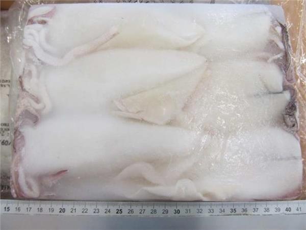 CALAMARI PULITI THAY ASIAN SURAT U/5 6PZ X1,8KG