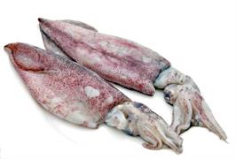 CALAMARI SPORCHI INDIA BLAST FROZEN 3/6 6PZ X2KG