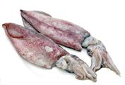 CALAMARI SPORCHI INDIA BLAST FROZEN 3/6 6PZ X2KG