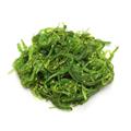 ALGA WAKAME 10PZ X1KG