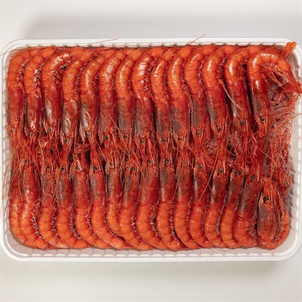 GAMBERO ROSSO DI MAZARA DEL VALLO 3° 36/55 X1KG